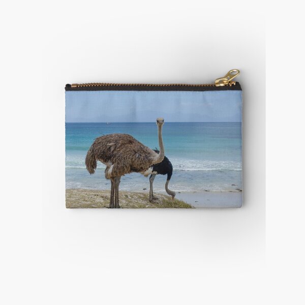 Item preview, Western Cape, South Africa: Ostriches  designed and sold by Stratus13.