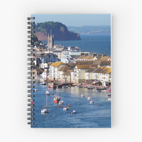 Item preview, Teignmouth Back Beach and Town in South Devon designed and sold by rosiephotos.