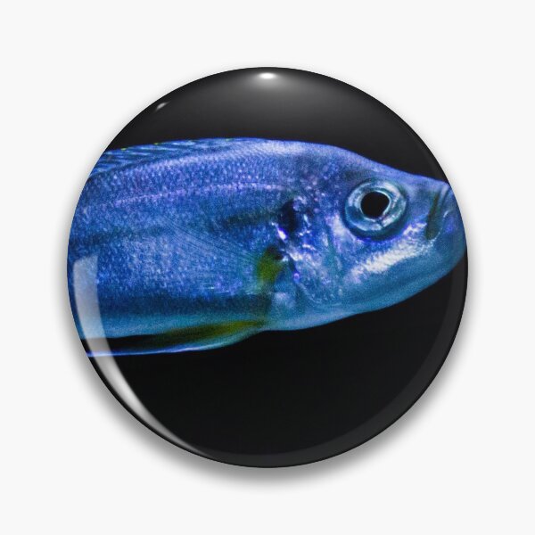 Item preview, fish designed and sold by Aniyah.