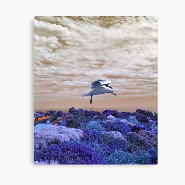 Item preview, Seagull in fantasy land designed and sold by garhoud.