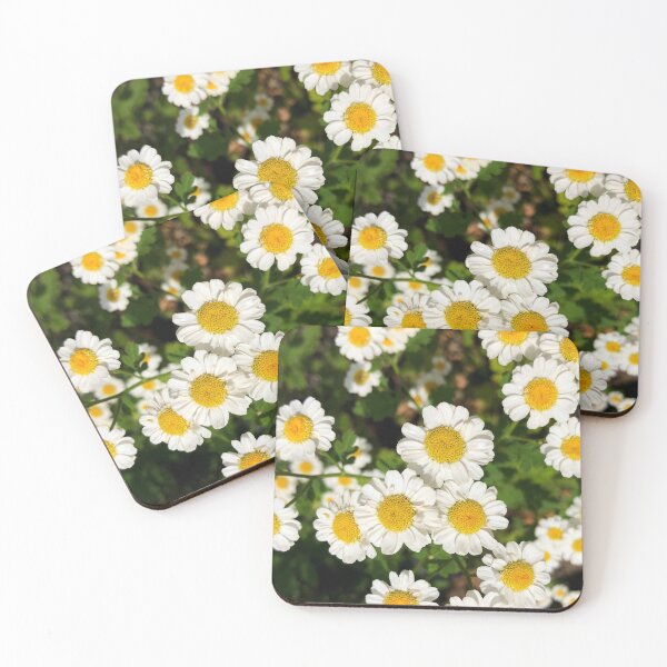 Item preview, Summer Daisy Field designed and sold by tammyschroder.