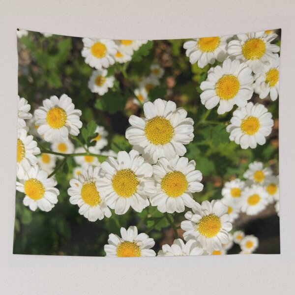 Item preview, Summer Daisy Field designed and sold by tammyschroder.
