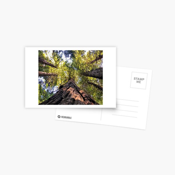 Item preview, Redwood National Forest, California designed and sold by tammyschroder.