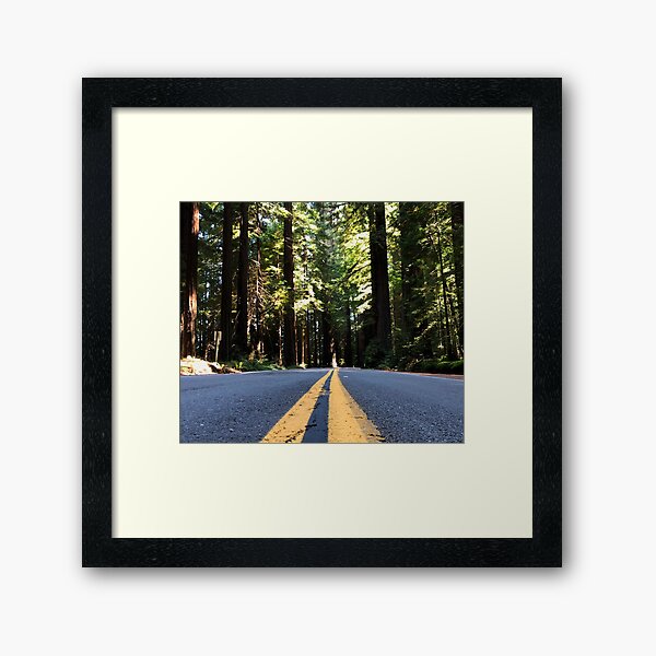 Item preview, Redwood National Forest, California designed and sold by tammyschroder.
