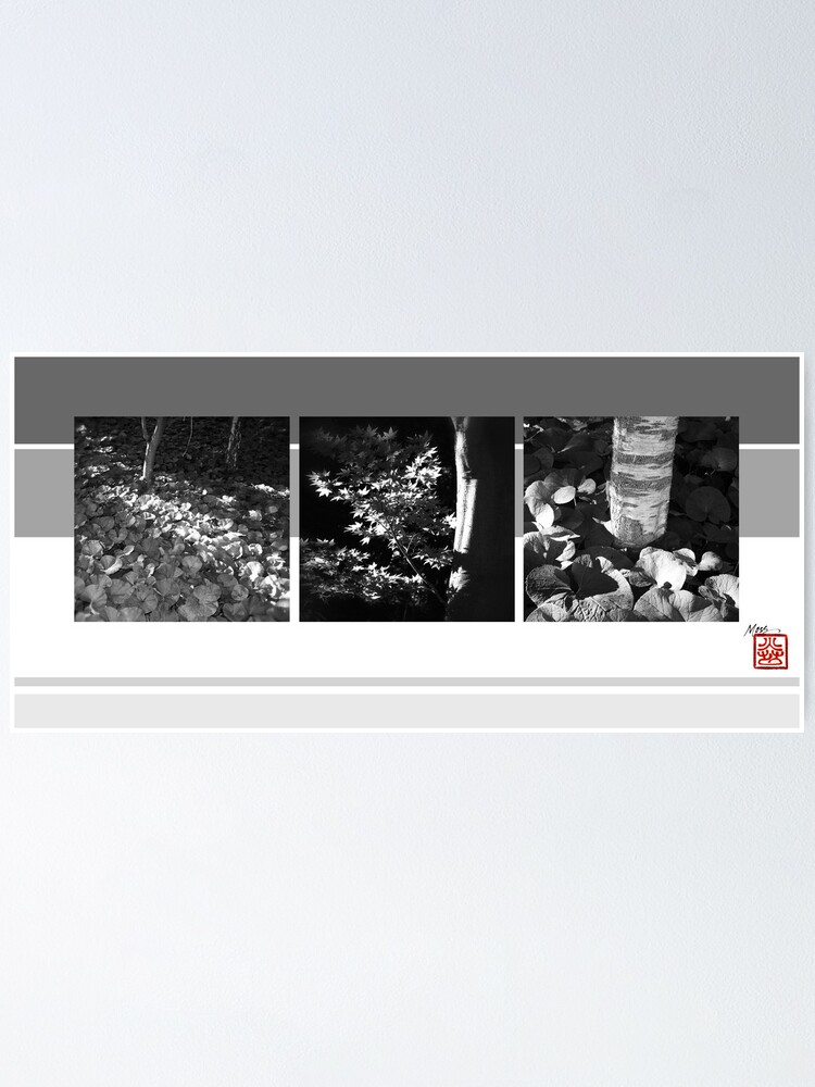 Alternate view of light through the leaves Poster