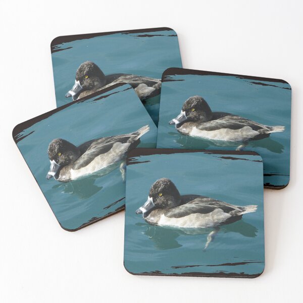 Item preview, Bird Photo Blue Water Black White Ring-necked Duck designed and sold by natureinfocus.