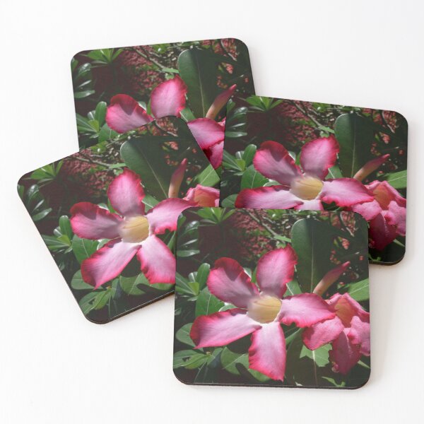 Item preview, Pink Flowers designed and sold by Monika's Shop.