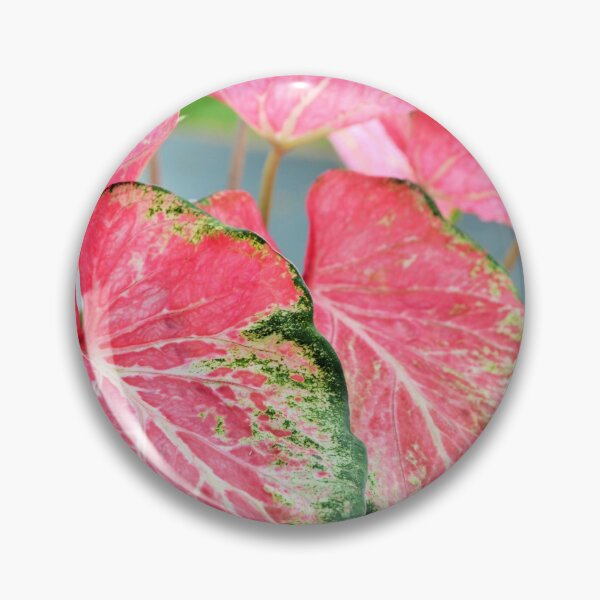 Item preview, house plant designed and sold by Fiveladiesart.
