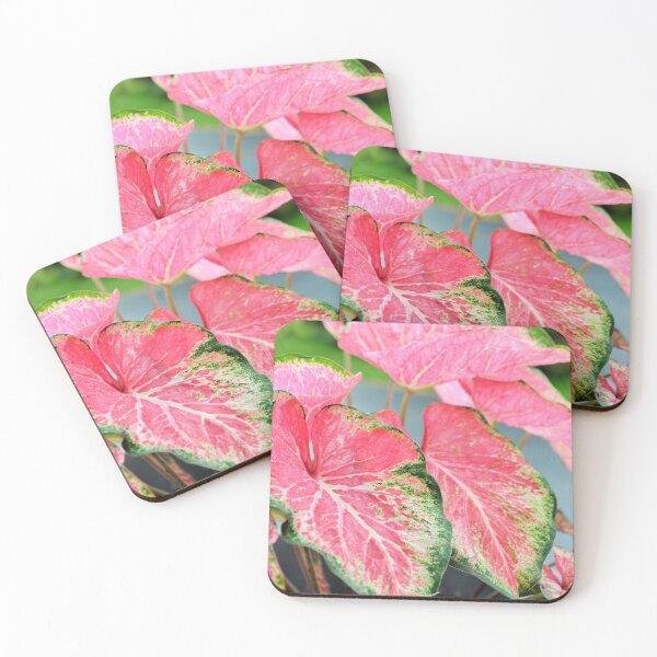 Item preview, house plant designed and sold by Fiveladiesart.