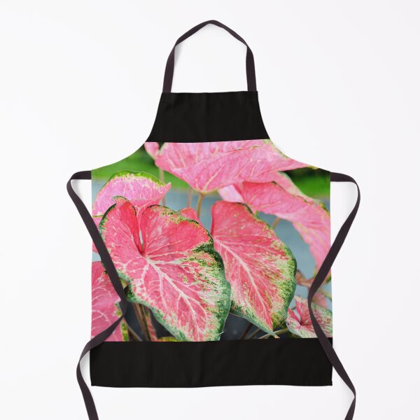 Item preview, house plant designed and sold by Fiveladiesart.