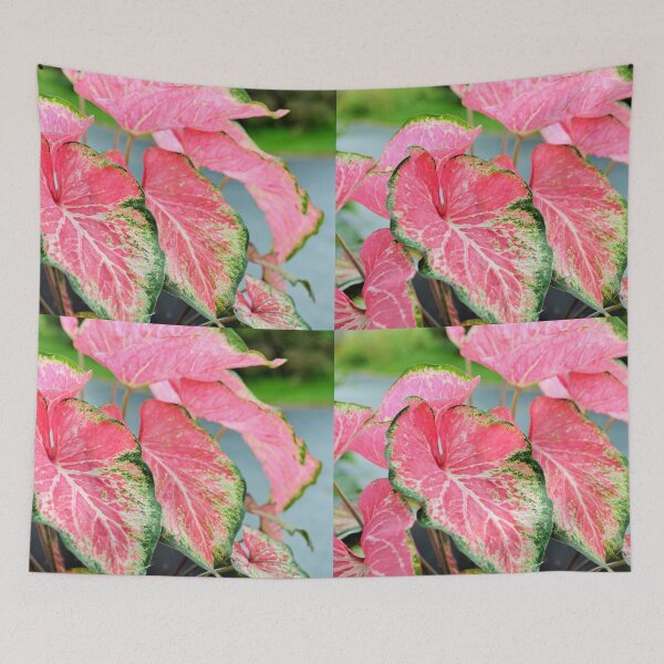Item preview, house plant designed and sold by Fiveladiesart.