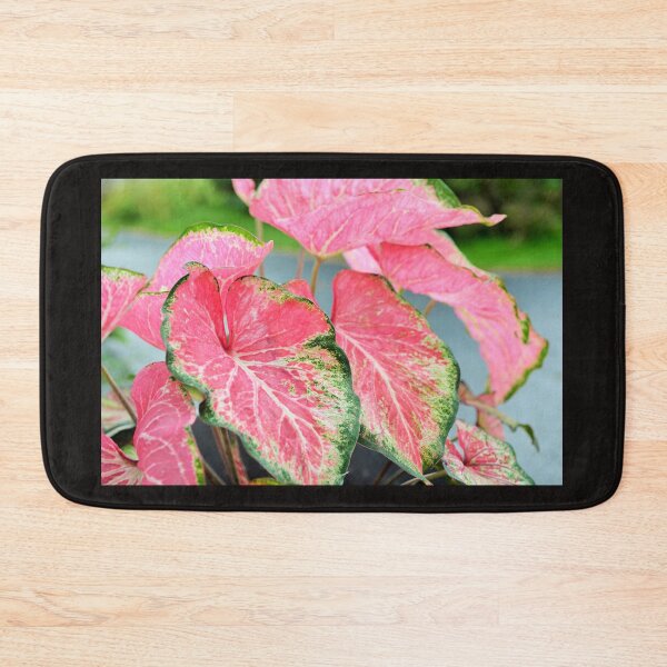 Item preview, house plant designed and sold by Fiveladiesart.