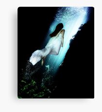 Surfacing Canvas Print