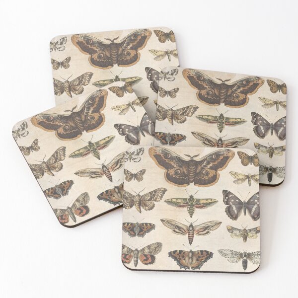 Item preview, Butterfly and Moth dark arts scientific display designed and sold by thegoodwordsco.
