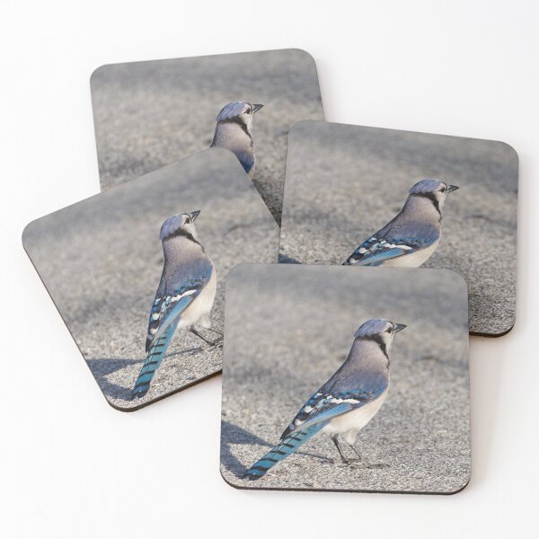 Item preview, Blue Jay in Parking Lot designed and sold by Jill Nightingale.