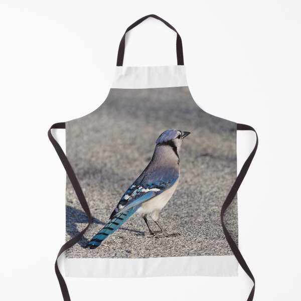 Item preview, Blue Jay in Parking Lot designed and sold by Jill Nightingale.