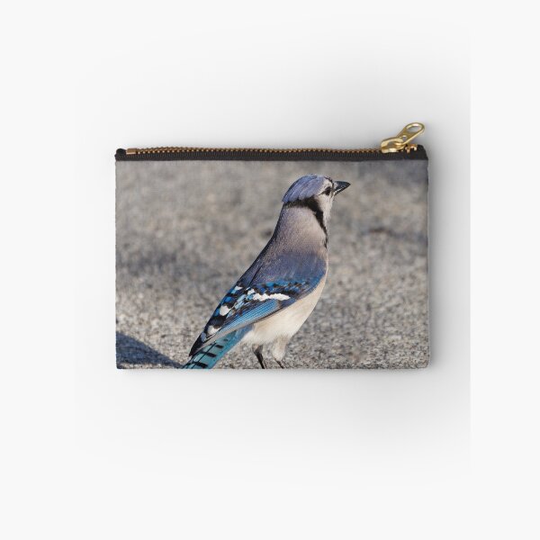Item preview, Blue Jay in Parking Lot designed and sold by Jill Nightingale.