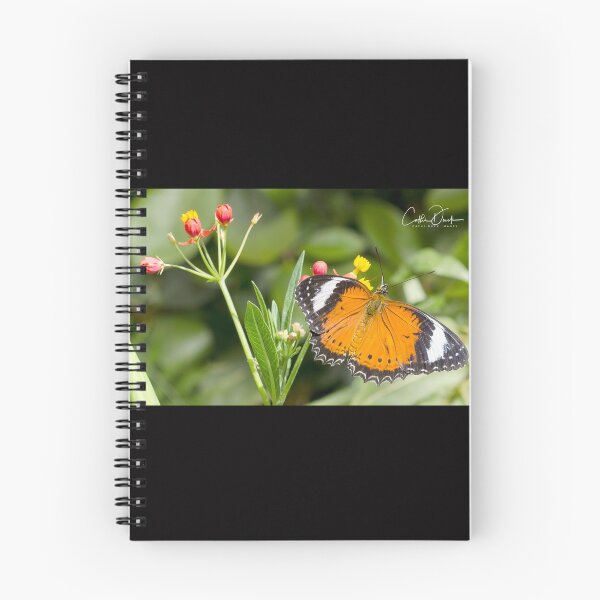 Item preview, Orange Lacewing Butterfly designed and sold by CathsImages.