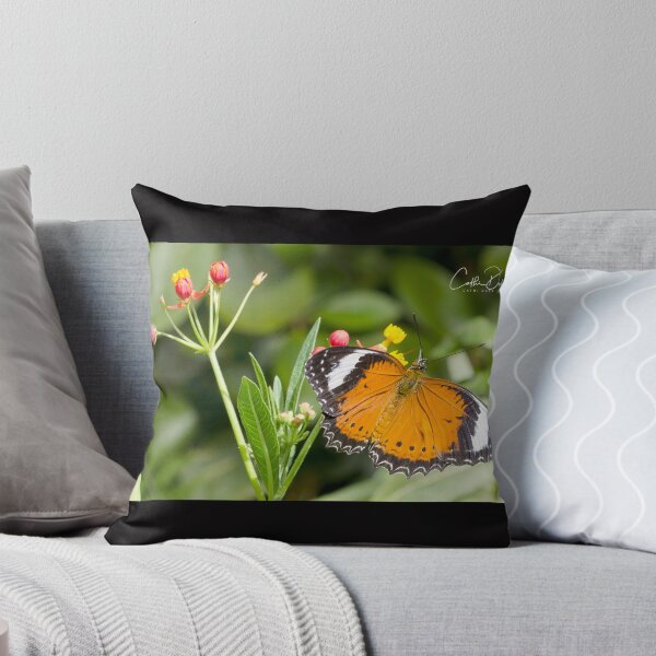 Artikelvorschau, Orange Florfliegenschmetterling entworfen und verkauft von CathsImages.