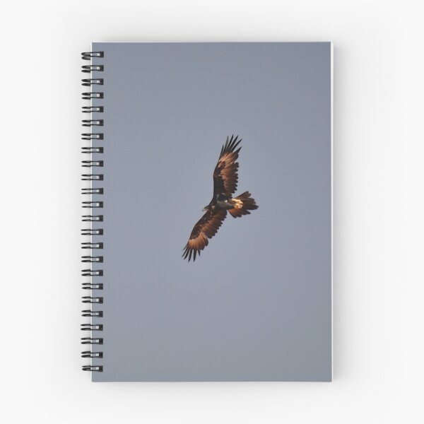 Item preview, Eagle Flying, Stuart Highway, Australia 20190910 designed and sold by muz2142.