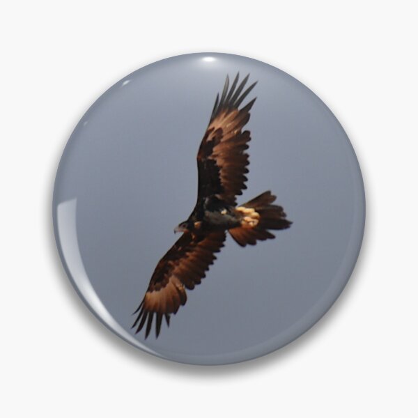 Item preview, Eagle Flying, Stuart Highway, Australia 20190910 designed and sold by muz2142.