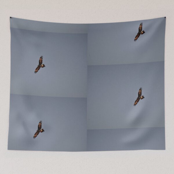 Item preview, Eagle Flying, Stuart Highway, Australia 20190910 designed and sold by muz2142.