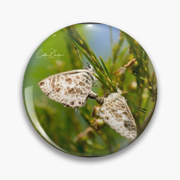 Item preview, Butterfly Duo designed and sold by CathsImages.