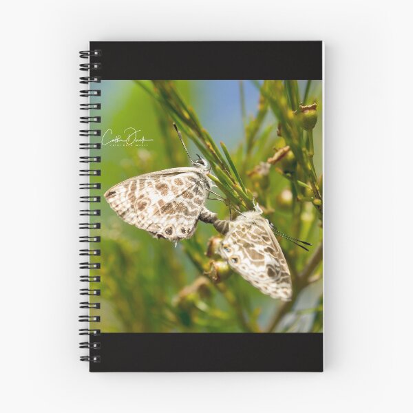 Item preview, Butterfly Duo designed and sold by CathsImages.
