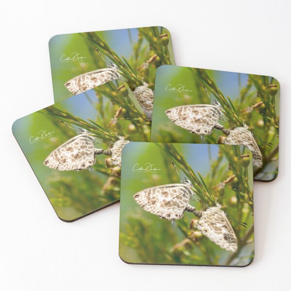 Item preview, Butterfly Duo designed and sold by CathsImages.
