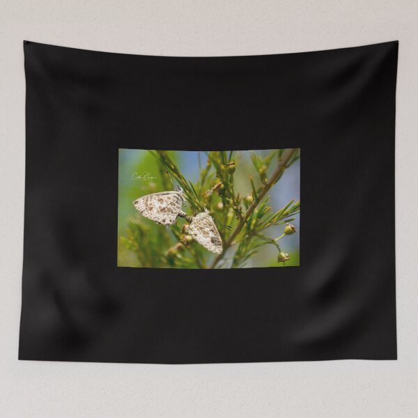 Item preview, Butterfly Duo designed and sold by CathsImages.