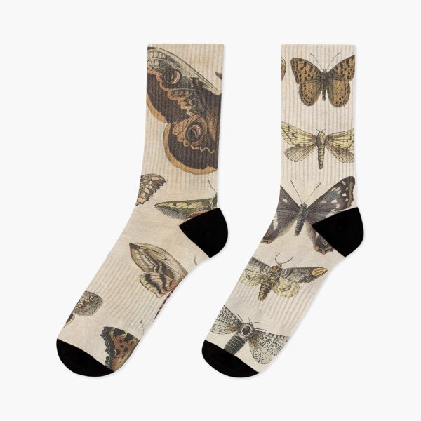 Item preview, Butterfly and Moth dark arts scientific display designed and sold by thegoodwordsco.