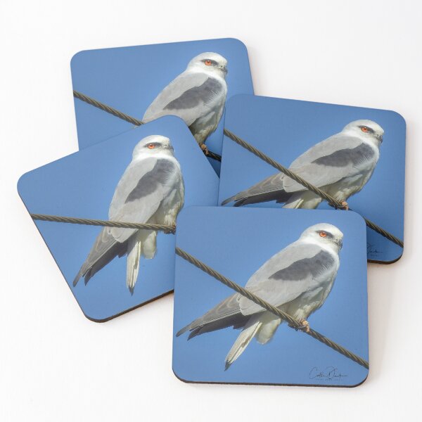 Item preview, Black Shoulder Kite designed and sold by CathsImages.