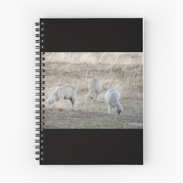 Item preview, Grazing Sheep designed and sold by CathsImages.