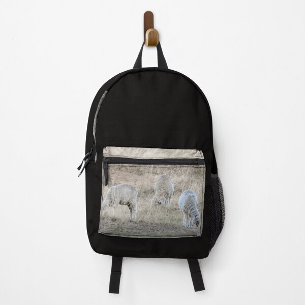 Item preview, Grazing Sheep designed and sold by CathsImages.