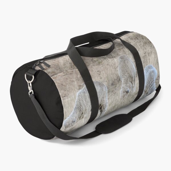 Item preview, Grazing Sheep designed and sold by CathsImages.