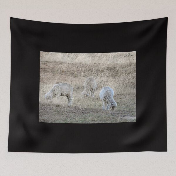 Item preview, Grazing Sheep designed and sold by CathsImages.