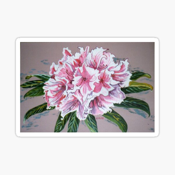 Azalea Pacific rhododendron Drawing flower leaf monochrome png  PNGEgg