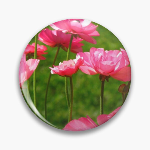 Item preview, Pink Ranunculus #2 designed and sold by Marilyn Harris.