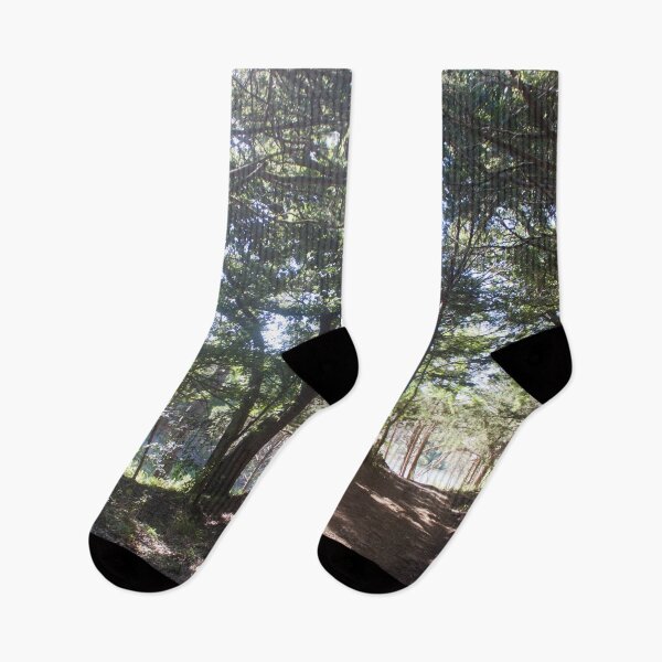 Item preview, Into the Forest designed and sold by Jacquelie.