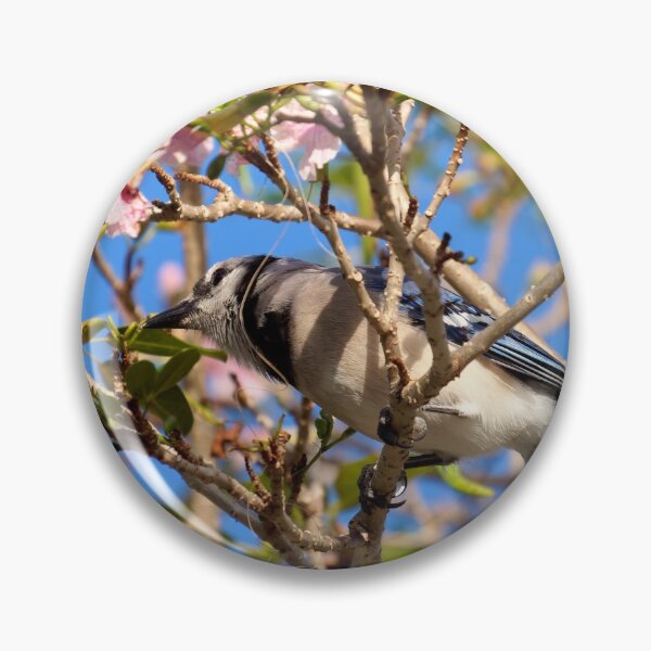 Item preview, Flowering Tree with Blue Jay and Blue Skies designed and sold by Jill Nightingale.