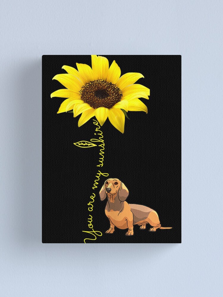 sunflower dachshunds