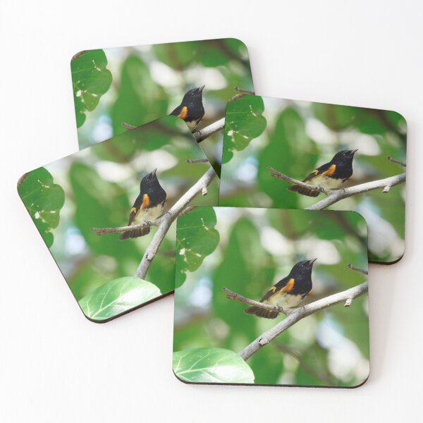 Item preview, Male American Redstart Bird on Branch designed and sold by Jill Nightingale.