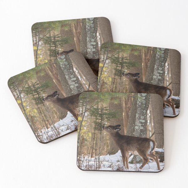 Item preview, Young Deer Having a Snack designed and sold by HectorCantres.