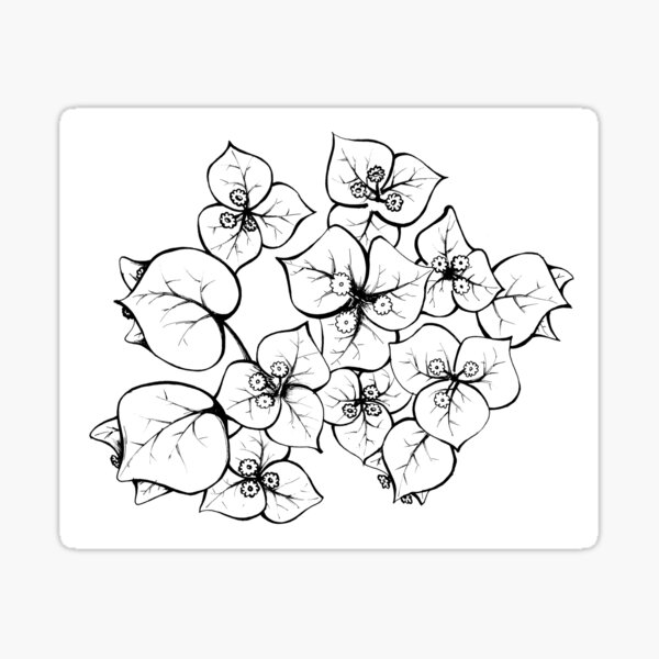 Regalos y productos: Bougainvillea | Redbubble