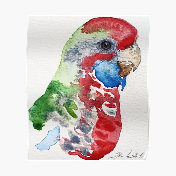 Rainbow lorikeet Poster