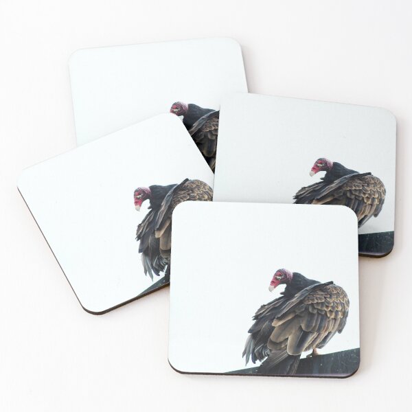 Item preview, Vulture designed and sold by Sylvia Lorson.