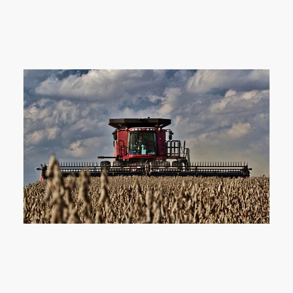Cuttin' Beans - Case Photographic Print