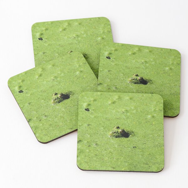 Item preview, Frog designed and sold by Sylvia Lorson.