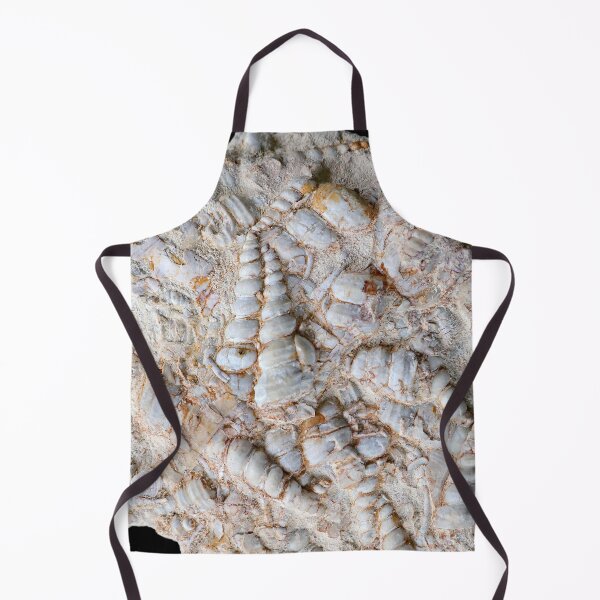 Item preview, © Fossil shells, Turritella (Version 2) designed and sold by GeoPipics.