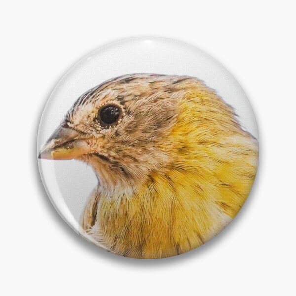 Item preview, Sicalis Flaveola Bird designed and sold by anafrancisconi.